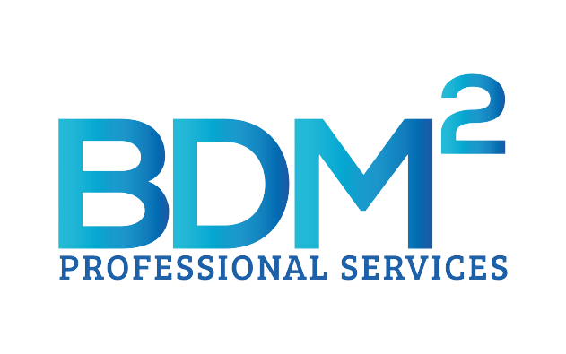 BDM Squared Professional Services — BDM with a superscript 2 above the words PROFESSIONAL SERVICES.